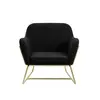 Buy Charles Black Velvet Armchair with Brushed Gold Frame, Colour: Black from Furnituretta