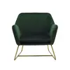 Buy Charles Green Velvet Armchair with Brushed Gold Frame, Colour: Green from Furnituretta