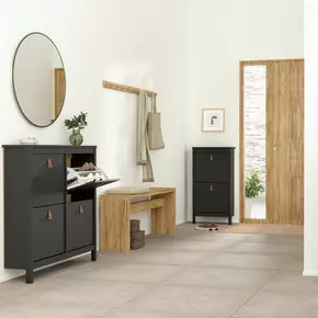 Buy Barcelona Shoe Cabinet 4 Flip Down Doors in Matt Black, 6 from Furnituretta