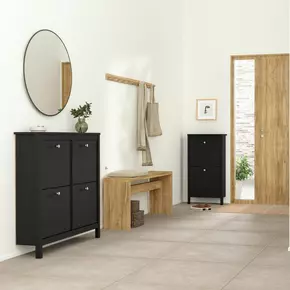 Buy Madrid Shoe Cabinet 4 Flip Down Doors in Matt Black, 5 from Furnituretta