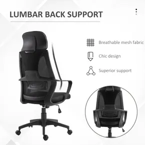 Buy Vinsetto Ergonomic Office Chair, High Back Computer Chair, Mesh Desk Chair with Lumbar Support, Headrest, Wheel, Adjustable Height, Black, 6 from Furnituretta