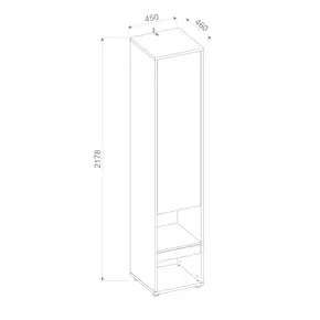 Buy BC-07 Tall Storage Cabinet for Vertical Wall Bed Concept Grey Matt, Colour: Grey Matt, Item Width: 45, 3 from Furnituretta