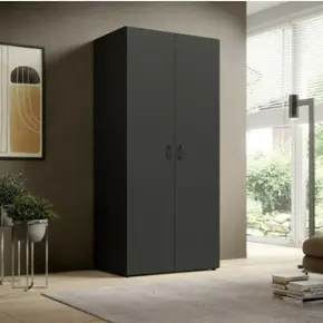 Buy Base 2 Door Hinged Wardrobe Graphite Matt, Colour: Graphite Matt, Item Width: 80, 2 from Furnituretta