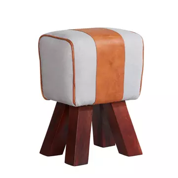 Buy Canvas And Leather Stool from Furnituretta
