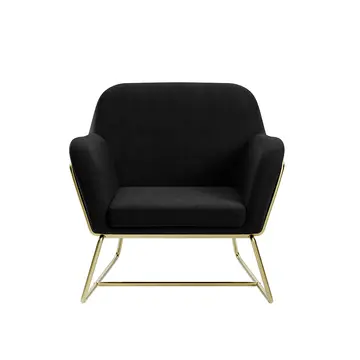 Buy Charles Velvet Armchair &ndash; Plush Occasional Chair with Brushed Gold Frame, Colour: Black from Furnituretta