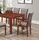 Buy Carlo Dining Arm Chair Mahogany from Furnituretta