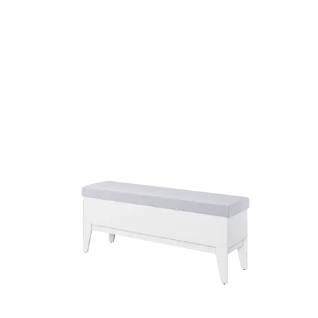 Buy Femii FE-13 Storage Chest from Furnituretta