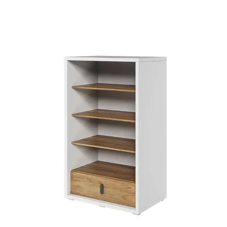 Buy Massi MS-10 Bookcase from Furnituretta