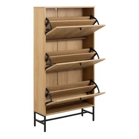 Buy Albany Shoe Cabinet: Stylish Storage with Flip-Down Doors, 4 from Furnituretta