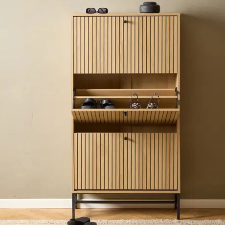 Buy Albany Shoe Cabinet: Stylish Storage with Flip-Down Doors, 6 from Furnituretta