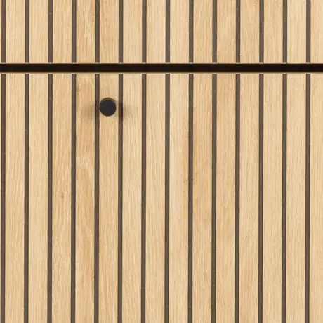 Buy Albany Shoe Cabinet: Stylish Storage with Flip-Down Doors, 8 from Furnituretta