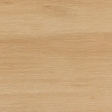 Buy Albany Shoe Cabinet: Stylish Storage with Flip-Down Doors, 9 from Furnituretta