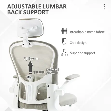 Buy Vinsetto Multi-Adjustable Office Chair, with Lumbar Support, Headrest and Mesh Back - Grey, 5 from Furnituretta