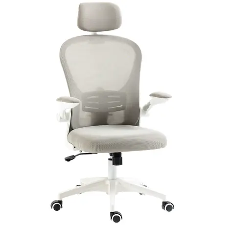 Buy Vinsetto Multi-Adjustable Office Chair, with Lumbar Support, Headrest and Mesh Back - Grey from Furnituretta