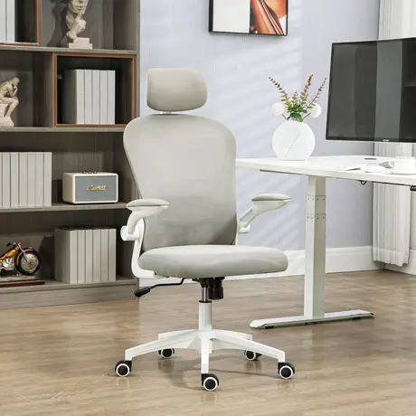 Buy Vinsetto Multi-Adjustable Office Chair, with Lumbar Support, Headrest and Mesh Back - Grey, 2 from Furnituretta