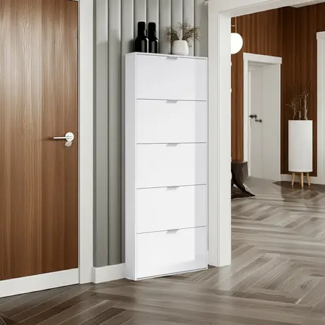 Buy Arctic Shoe Cabinet – Sleek 5-Door Storage in White Gloss, 2 from Furnituretta