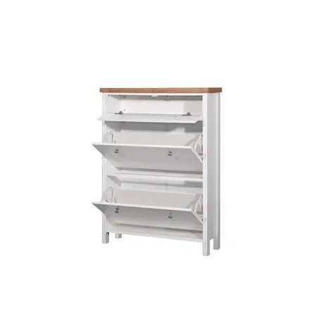 Buy Astbury Shoe Cabinet: Sleek & Functional Design, 4 from Furnituretta