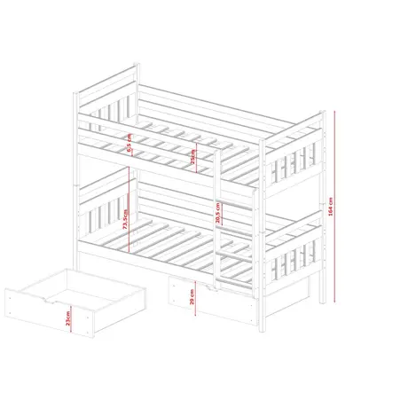 Buy Wooden Bunk Bed Adas with Storage Graphite, Colour: Graphite, Mattresses: Foam Mattresses, 4 from Furnituretta