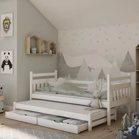 Buy Wooden Double Bed Daniel with Trundle and Storage White Matt, Colour: White Matt, Mattreses: Foam Mattresses, 5 from Furnituretta