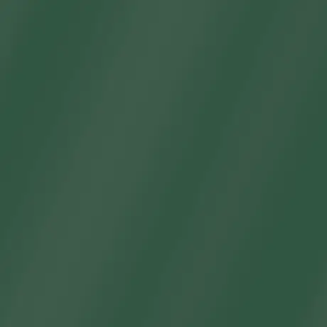 Buy Quartz Sideboard in Green Finish, Colour: Green, 8 from Furnituretta