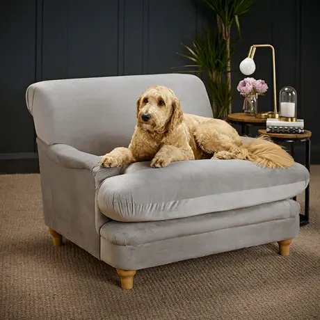 Buy Plumpton Chair in Grey Velvet with Oak‑Effect Legs, 3 from Furnituretta