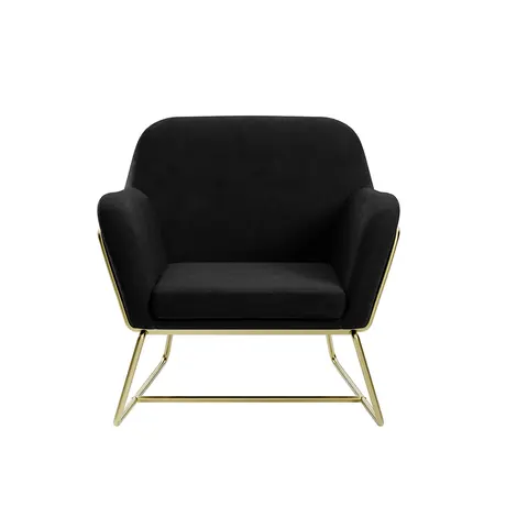 Buy Charles Black Velvet Armchair with Brushed Gold Frame, Colour: Black from Furnituretta