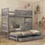 Buy Viki Bunk Bed Graphite: Space-Saving Sleep Solution for Kids, Colour: Graphite, Mattresses: Without Mattresses, 2 from Furnituretta