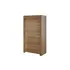 Buy Sky 2 Door Wardrobe, Colour: Oak Riviera, Item Width: 110 from Furnituretta