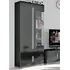 Buy Dunbar 1 Glass Door Display Cabinet Black High Gloss and Grey, Colour: Black from Furnituretta