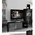 Buy Dunbar TV Unit with Lights Black High Gloss and Grey, Colour: Black from Furnituretta