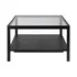 Buy Ray Coffee Table with Glass Top and Lower Shelf in Modern Style, Colour: Black from Furnituretta