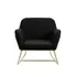 Buy Charles Velvet Armchair &ndash; Plush Occasional Chair with Brushed Gold Frame, Colour: Black from Furnituretta