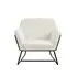 Buy Charles Velvet Armchair &ndash; Plush Occasional Chair with Matte Black Frame, Colour: Ivory from Furnituretta