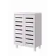 Organize Your Shoes in Style with White 2-Door Shoe Cabinet for sale Buy Organize Your Shoes in Style with White 2-Door Shoe Cabinet from Furnituretta